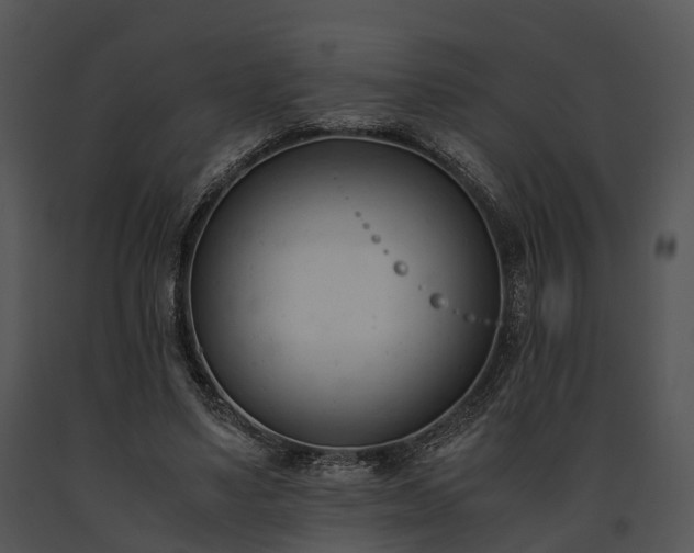 X0000091660491200708301441
