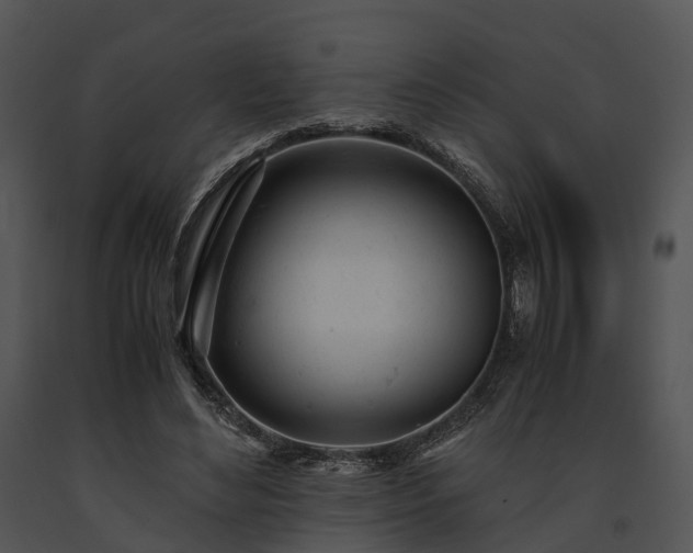X0000091660492200708301441