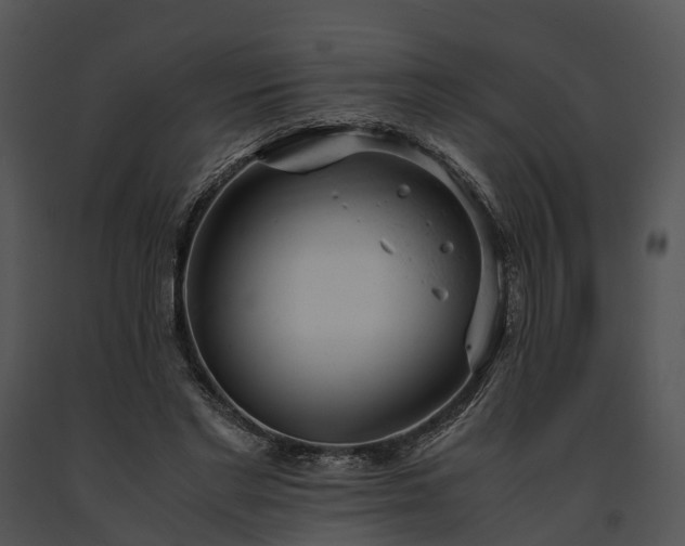 X0000091660493200708301441