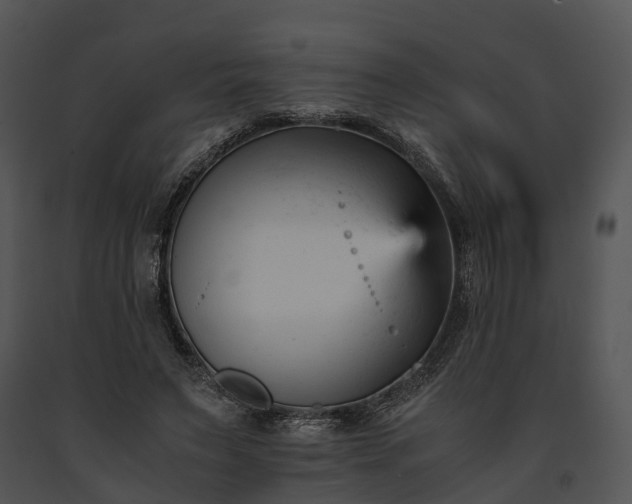 X0000091660495200708301441