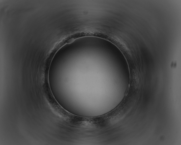 X0000091660496200708301441