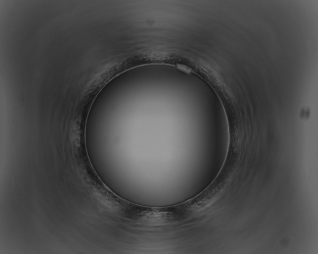 X0000091660497200708301441