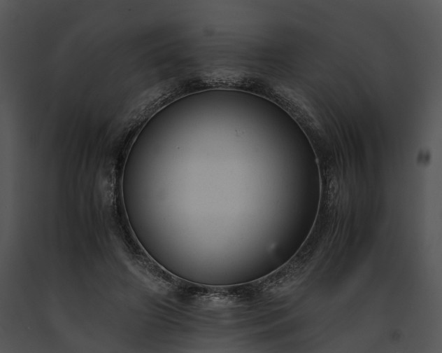 X0000091660498200708301441