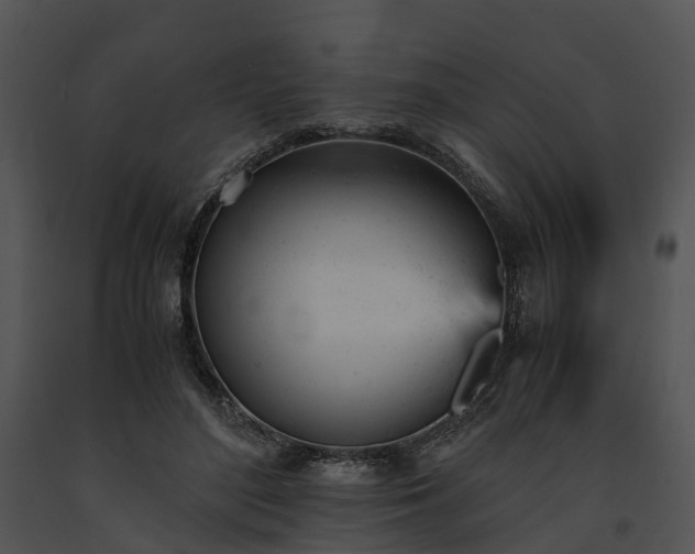 X0000091660500200708301441