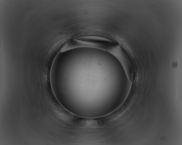 X0000091660501200708301441