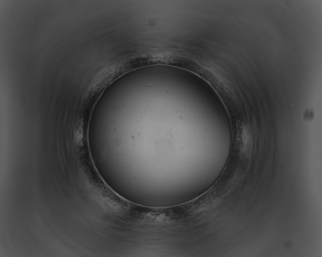 X0000091660502200708301441