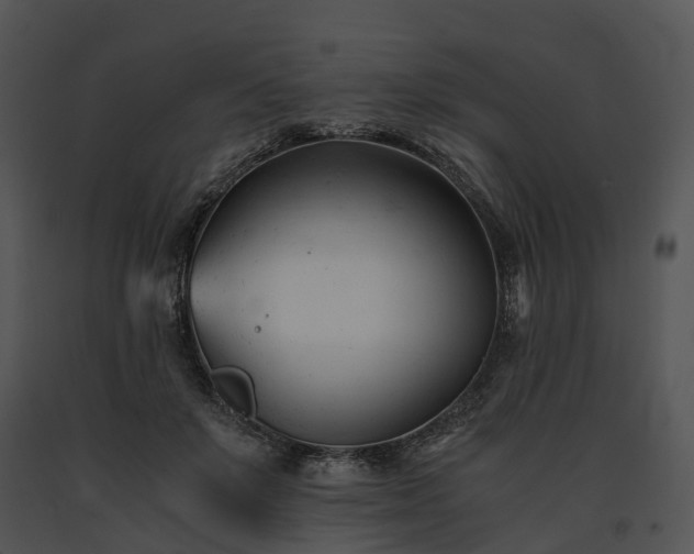 X0000091660503200708301441