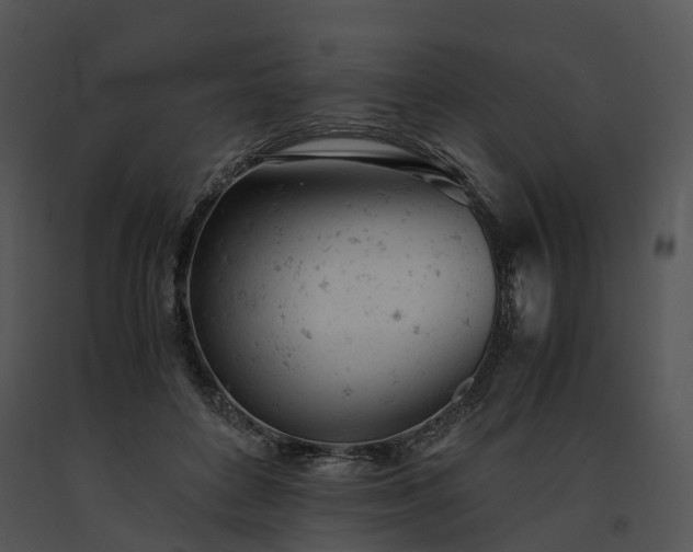 X0000091660504200708301441