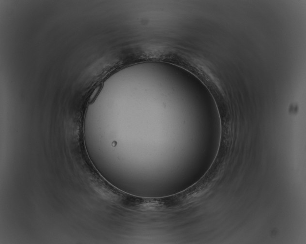 X0000091660505200708301441