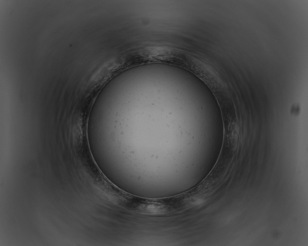 X0000091660506200708301441