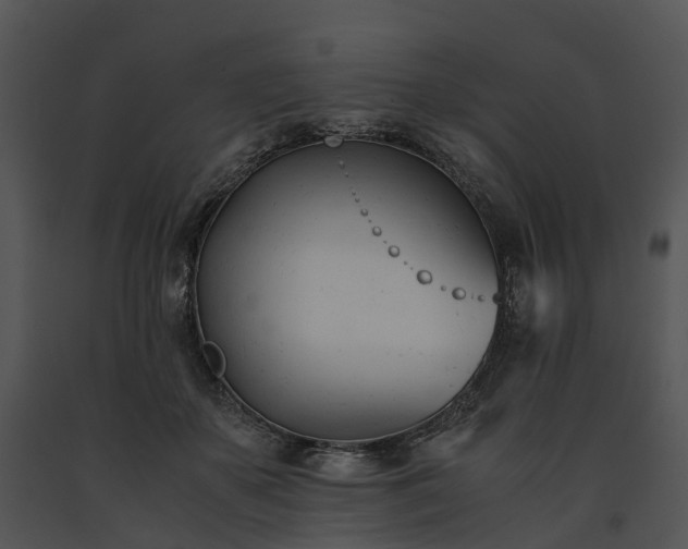 X0000091660507200708301441