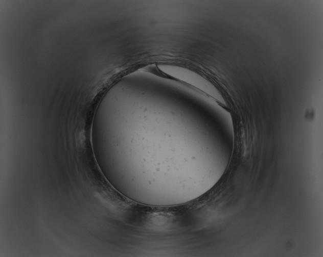 X0000091660508200708301441