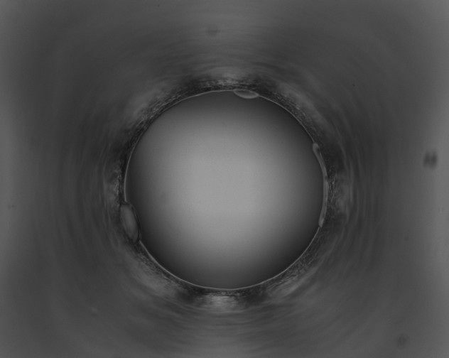 X0000091660509200708301441