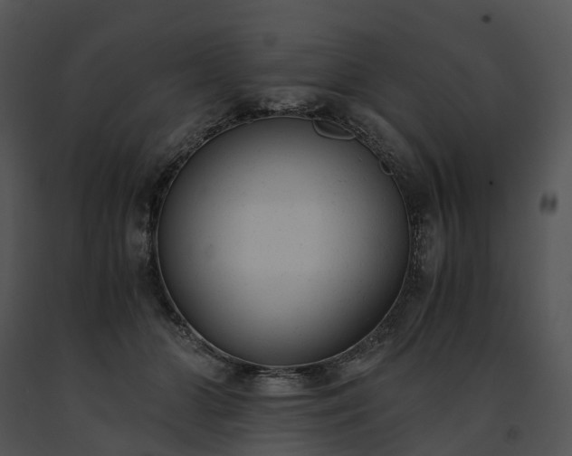 X0000091660510200708301441