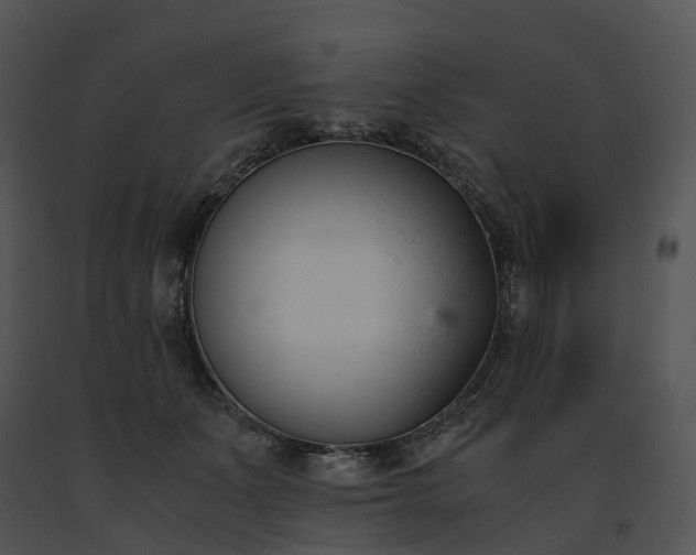 X0000091660511200708301441