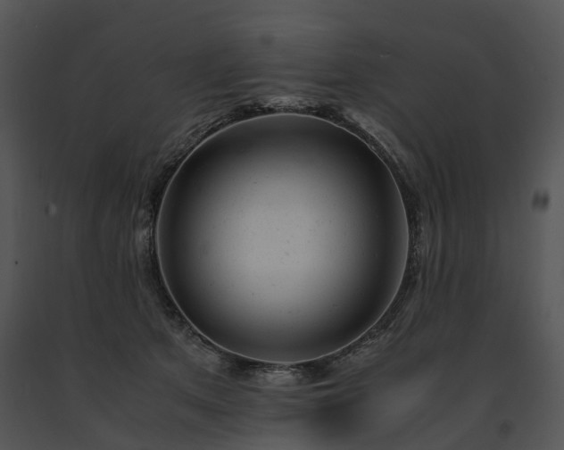 X0000091660513200708301441
