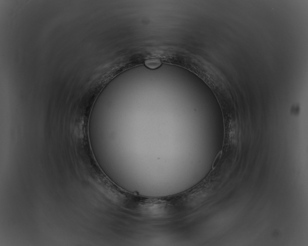 X0000091660514200708301441