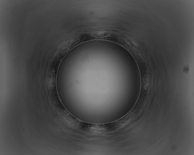 X0000091660515200708301441