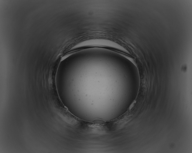 X0000091660516200708301441