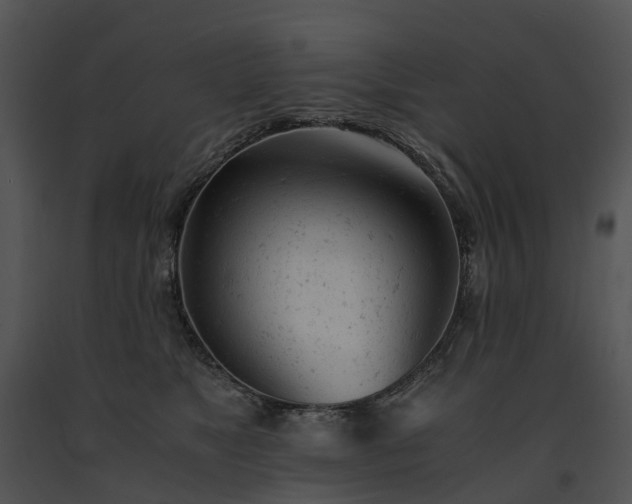 X0000091660517200708301441