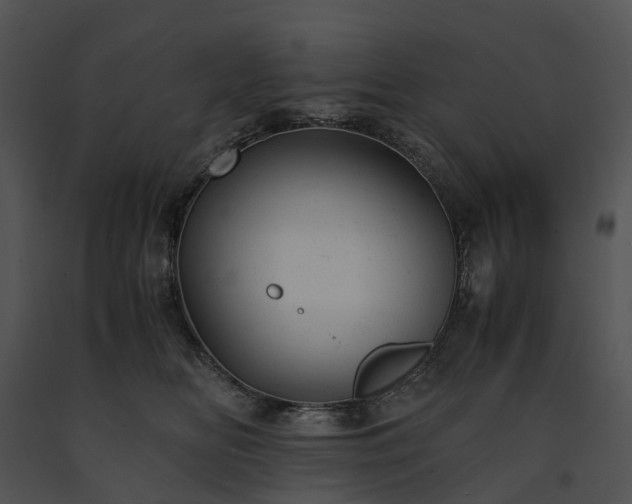 X0000091660518200708301441