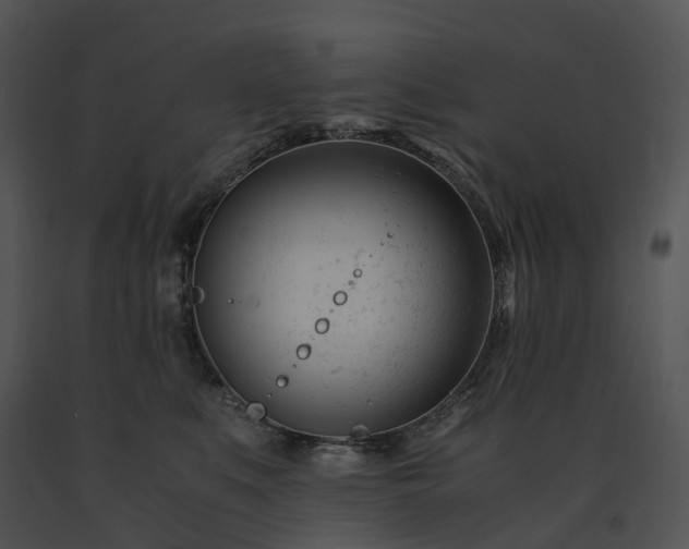 X0000091660519200708301441