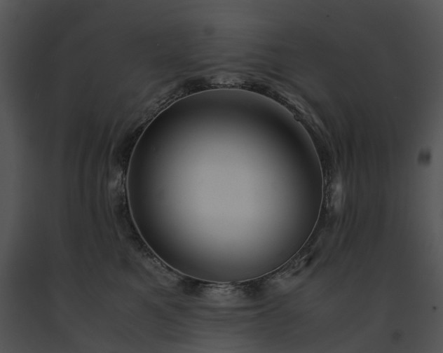 X0000091660521200708301441