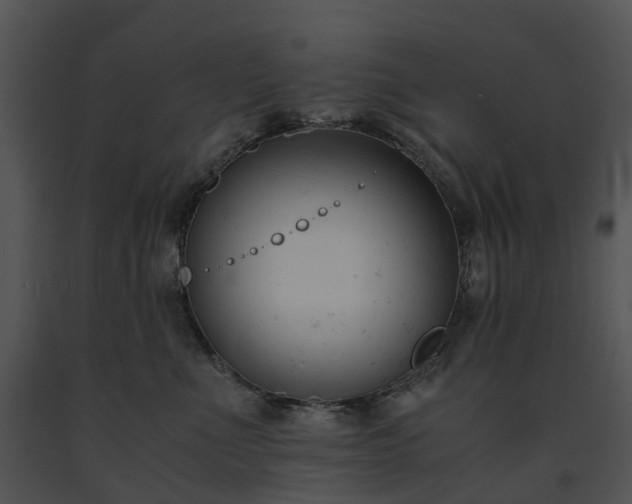 X0000091660523200708301441