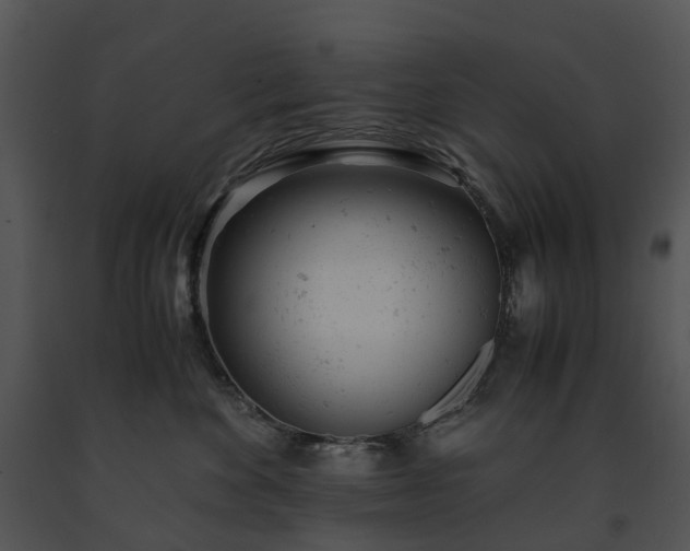 X0000091660524200708301441