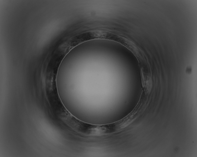 X0000091660525200708301441