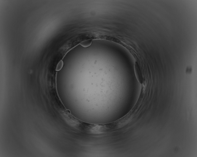 X0000091660527200708301441
