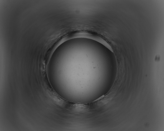 X0000091660528200708301441