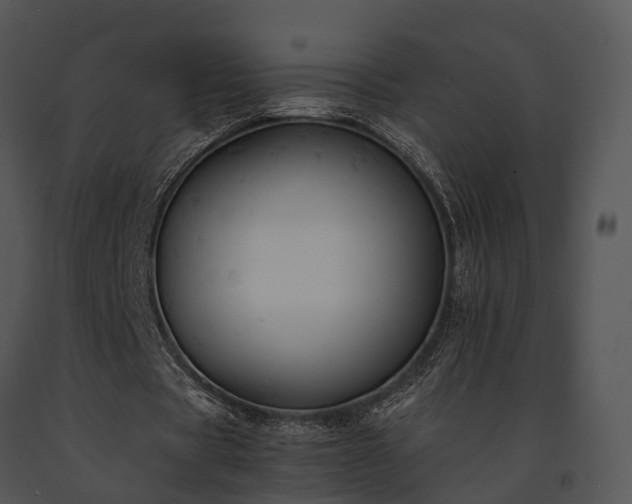 X0000091660529200708301440