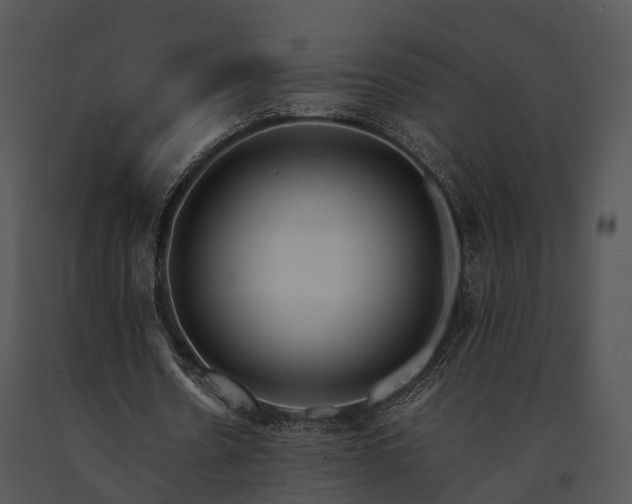 X0000091660530200708301440