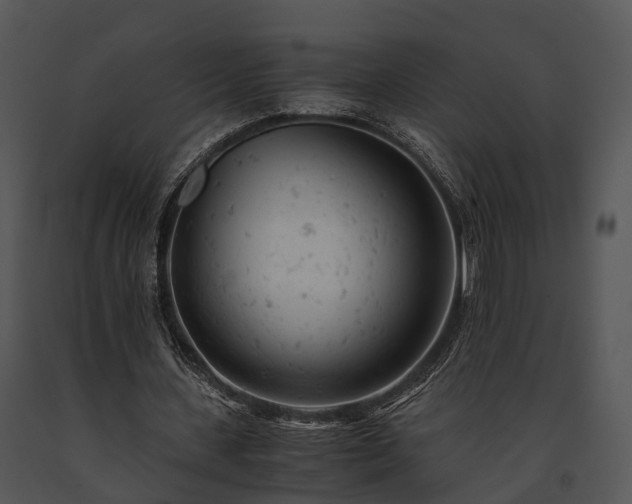 X0000091660531200708301440
