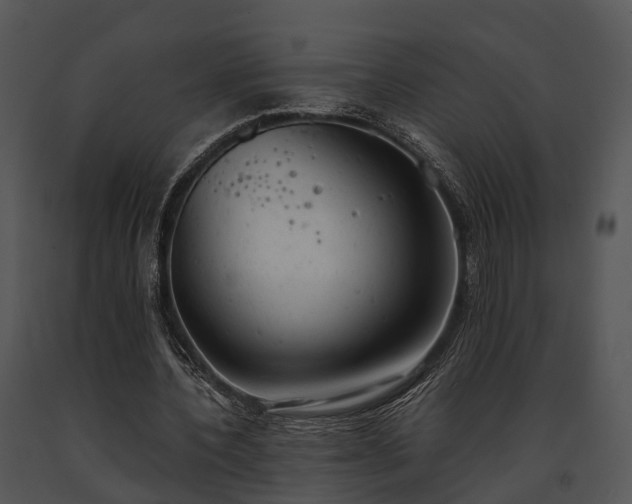 X0000091660532200708301440
