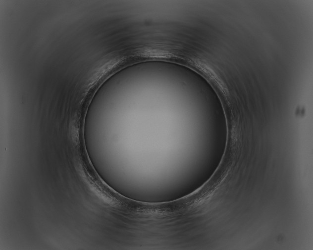 X0000091660533200708301440