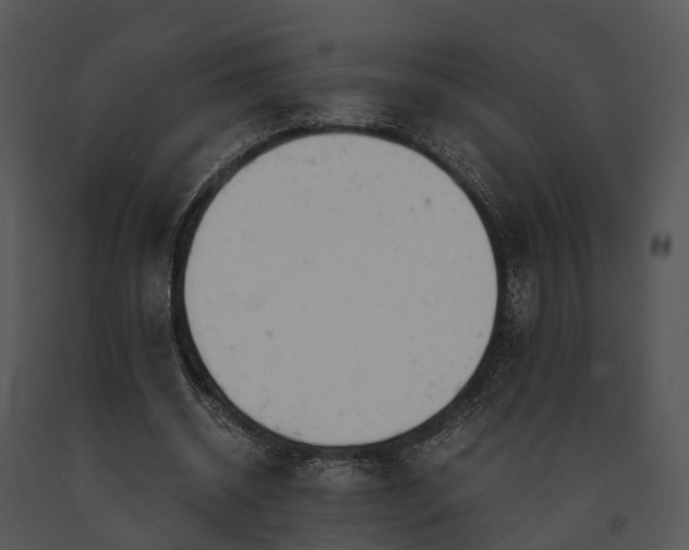 X0000091660534200708301440