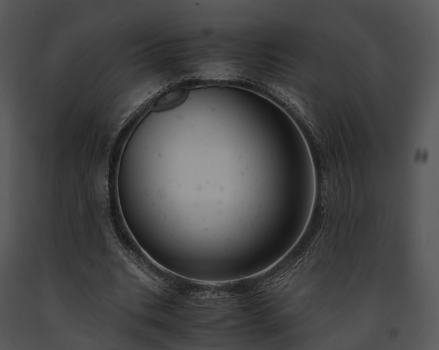X0000091660535200708301440