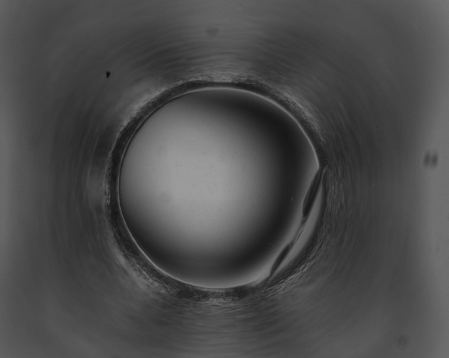 X0000091660536200708301440