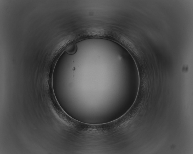 X0000091660538200708301441