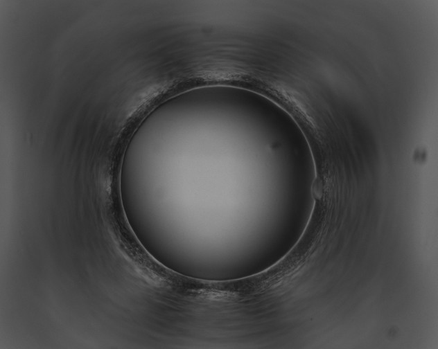 X0000091660539200708301441