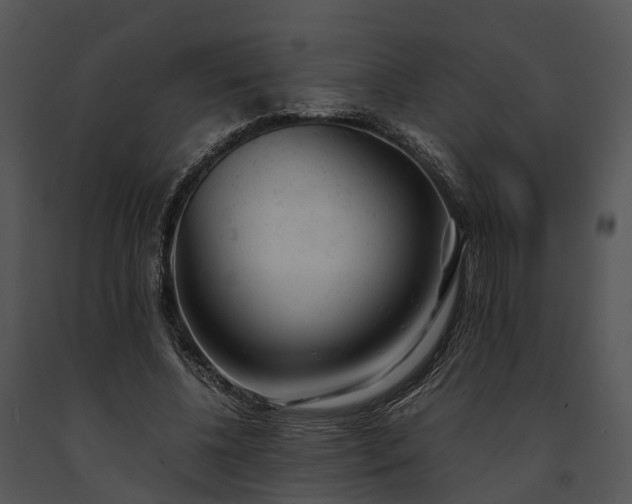 X0000091660540200708301441