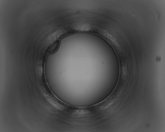 X0000091660541200708301441