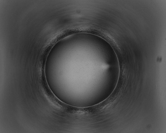 X0000091660542200708301441