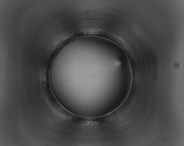X0000091660543200708301441