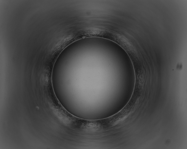 X0000091660546200708301441