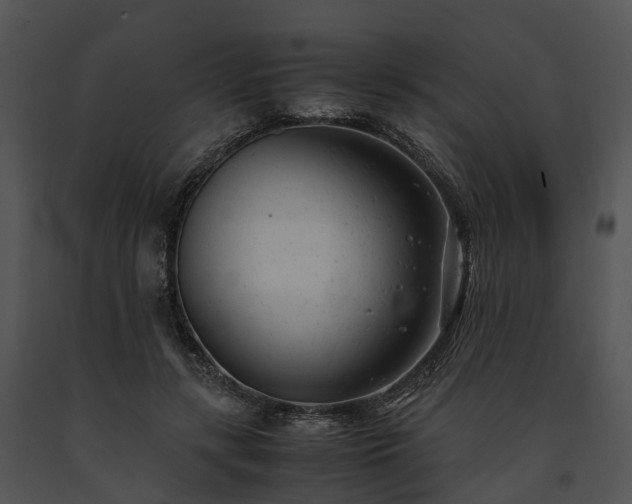X0000091660547200708301441