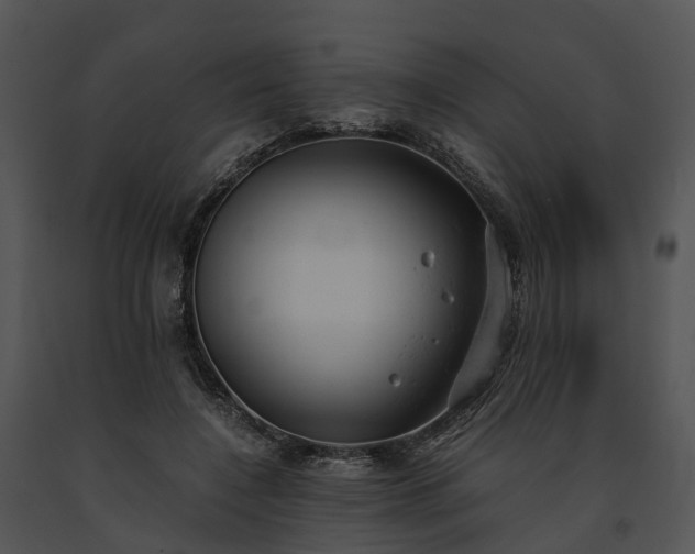 X0000091660548200708301441
