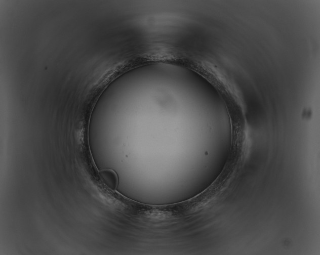 X0000091660549200708301441